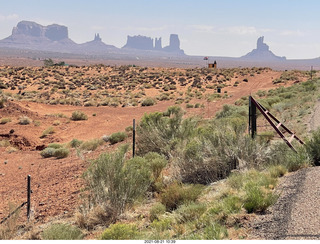 Monument Valley run + Adam
