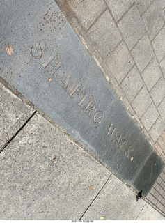 Princeton University Shapiro walk