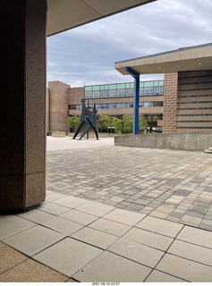 Princeton University - sign The Dog has a Gun