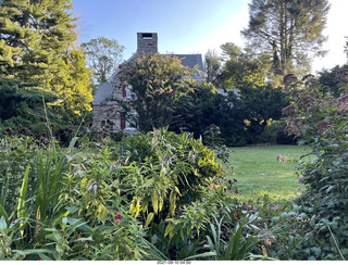 Rayzel garden + house