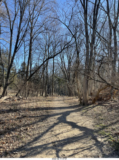 Philadelphia Ballet program