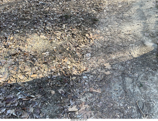 Philadelphia/Cheltenham run - Tookany Creek Parkway