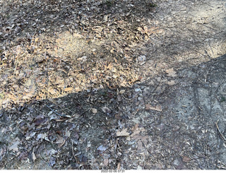 Philadelphia/Cheltenham run - Tookany Creek Parkway