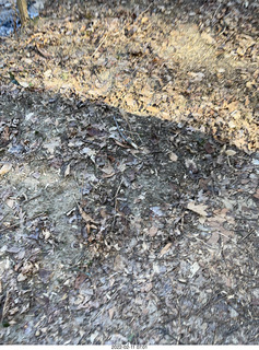 Philadelphia/Cheltenham run - Tookany Creek Parkway