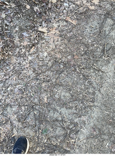 Philadelphia/Cheltenham run - Tookany Creek Parkway