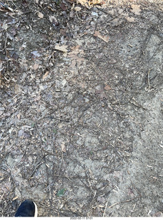 Philadelphia/Cheltenham run - Tookany Creek Parkway