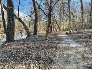 Philadelphia/Cheltenham run - Tookany Creek Parkway