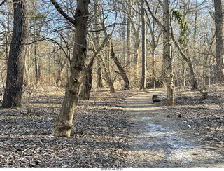 Philadelphia/Cheltenham run - Tookany Creek Parkway