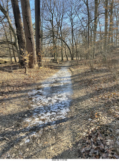 Philadelphia/Cheltenham run - Tookany Creek Parkway