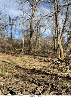 Philadelphia/Cheltenham run - Tookany Creek Parkway + Adam