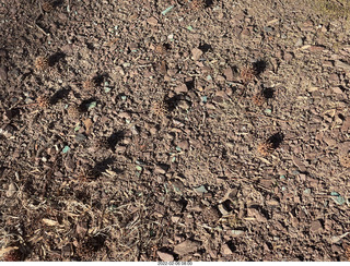 Philadelphia/Cheltenham run - Tookany Creek Parkway