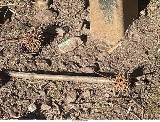 Philadelphia/Cheltenham run - Tookany Creek Parkway