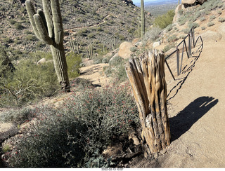 Gila monster on Pinnacle Peak trail