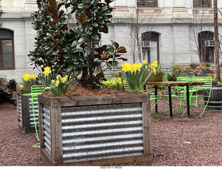 Academy of Music - Philadelphia Ballet - Swan Lake - Beatrice Jean Affron