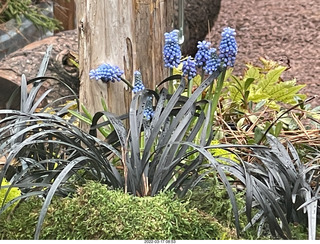 Academy of Music - Philadelphia Ballet - Swan Lake
