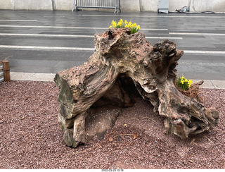 Philadelphia City Hall park