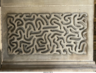 Philadelphia City Hall park - daffodils