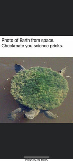 Sky & Telescope moon and earth together