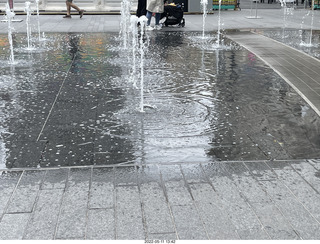 Cheltenham High School Yearbook 1974 - Jamison Bachman