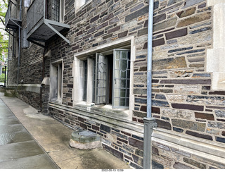 Princeton dormatory - lead windows