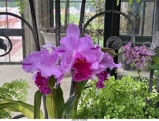332 a1f. Longwood Gardens