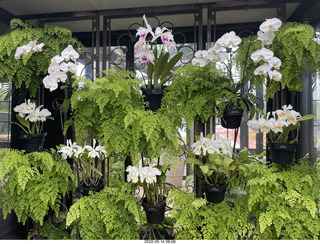 333 a1f. Longwood Gardens