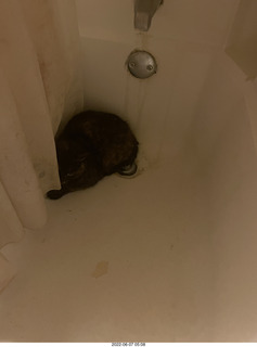 Argentina- Buenos Aires - Pertutti breakfast - spiral stairs