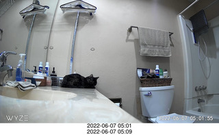 Argentina- Buenos Aires - Pertutti breakfast - spiral stairs