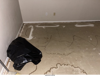 Facebook - people crying about stepping on Legos