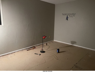 Miss Pris in my upstairs middle bathroom