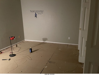 Miss Pris in my upstairs middle bathroom + Adam