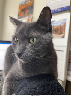 hair - Supercuts We Do Color!