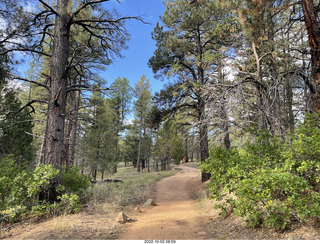 Wildcat Canyon Trail