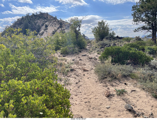Northgate Peaks trail