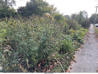 Academy of Music - Philadelphia Ballet - Cinderella sign