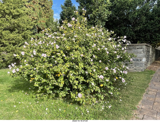 Academy of Music - Philadelphia Ballet - Cinderella - glass slipper