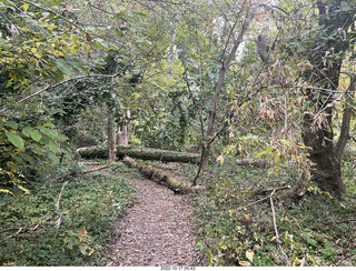 Philadelphia - Melrose Park - Tookany Creek Parkway