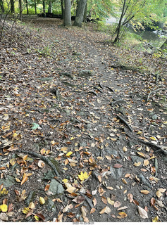 Philadelphia - Melrose Park - Tookany Creek Parkway