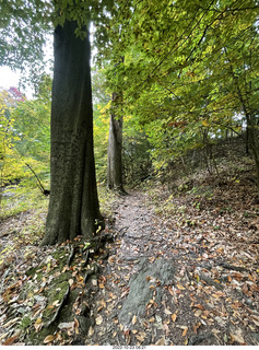 Philadelphia - Melrose Park - Tookany Creek Parkway