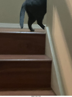 smartphone glove test