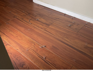 different number types - mathematics