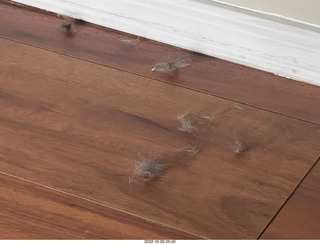 bill harner email about chs math