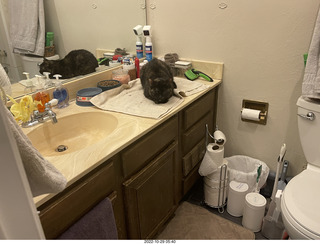 aftermath of Jane and Miss Pris  fighting