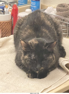 Adam teaching math class at Cheltenham High School