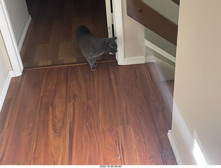 aftermath of Jane and Miss Pris  fighting