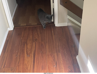 Facebook - a math limerick