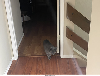 Facebook - a math limerick