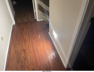 aftermath of Jane and Miss Pris  fighting