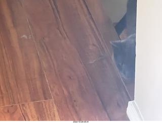 aftermath of Jane and Miss Pris  fighting