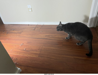 aftermath of Jane and Miss Pris  fighting